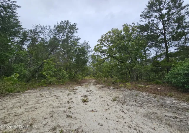 Photo 4 of Land for sale at 248 Saddleback Trl, Palatka, FL 32177 | MLS# 2142389 | Listing updated on 2026-04-28