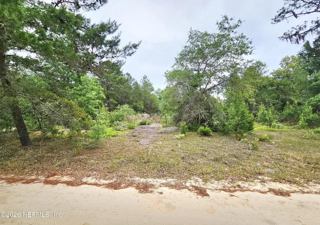 Photo 2 of Land for sale at 302 Rainbow Dr, Florahome, FL 32140 | MLS# 2142392 | Listing updated on 2026-04-30
