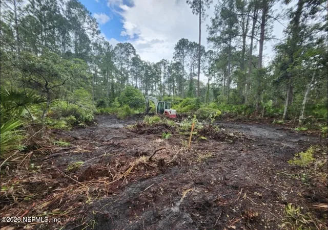 Photo 2 of Land for sale at 240 Lakeway Dr, Georgetown, FL 32139 | MLS# 2143662 | Listing updated on 2026-08-01