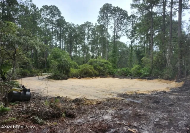 Photo 3 of Land for sale at 240 Lakeway Dr, Georgetown, FL 32139 | MLS# 2143662 | Listing updated on 2026-08-01
