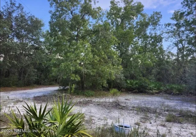 Photo 3 of Land for sale at 240 Lakeway Dr, Georgetown, FL 32139 | MLS# 2143662 | Listing updated on 2026-08-01
