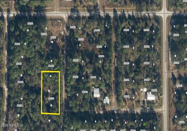 Photo 15 of Land for sale at 109 Anne Blvd, Georgetown, FL 32139 | MLS# 2144222 | Listing updated on 2026-05-09