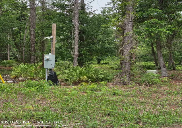 Photo 1 of Land for sale at 109 Anne Blvd, Georgetown, FL 32139 | MLS# 2144222 | Listing updated on 2026-05-09