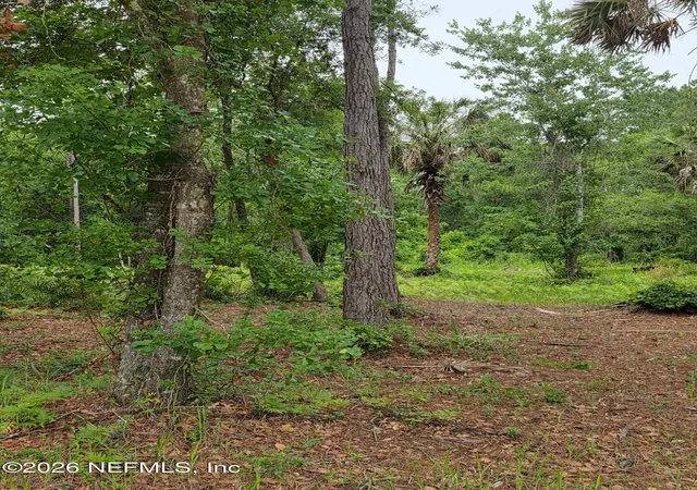 Photo 2 of Land for sale at 109 Anne Blvd, Georgetown, FL 32139 | MLS# 2144222 | Listing updated on 2026-05-09