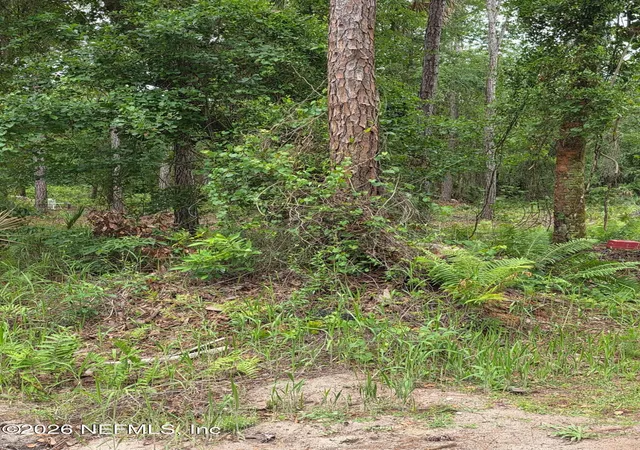 Photo 3 of Land for sale at 109 Anne Blvd, Georgetown, FL 32139 | MLS# 2144222 | Listing updated on 2026-05-09