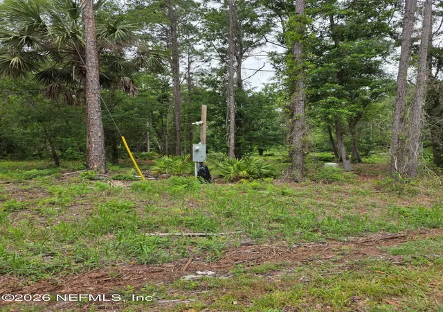 Photo 4 of Land for sale at 109 Anne Blvd, Georgetown, FL 32139 | MLS# 2144222 | Listing updated on 2026-05-09