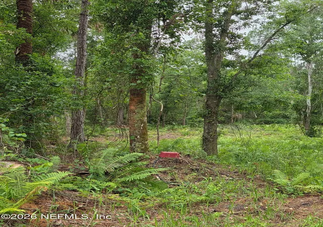 Photo 5 of Land for sale at 109 Anne Blvd, Georgetown, FL 32139 | MLS# 2144222 | Listing updated on 2026-05-09