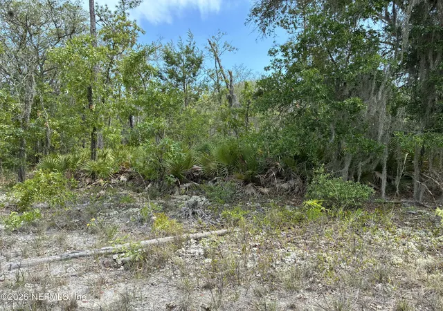 Photo 3 of Sale Pending at 00 Donovan Ave, Interlachen, FL 32148 | MLS# 2144327 | Listing updated on 2026-10-05