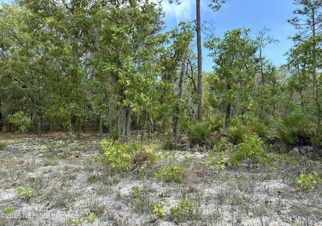 Photo 3 of Sale Pending at 00 Donovan Ave, Interlachen, FL 32148 | MLS# 2144327 | Listing updated on 2026-10-05