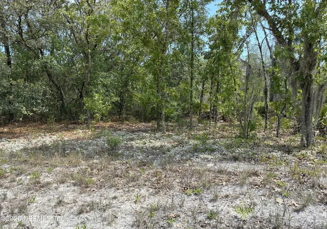 Photo 4 of Sale Pending at 00 Donovan Ave, Interlachen, FL 32148 | MLS# 2144327 | Listing updated on 2026-10-05