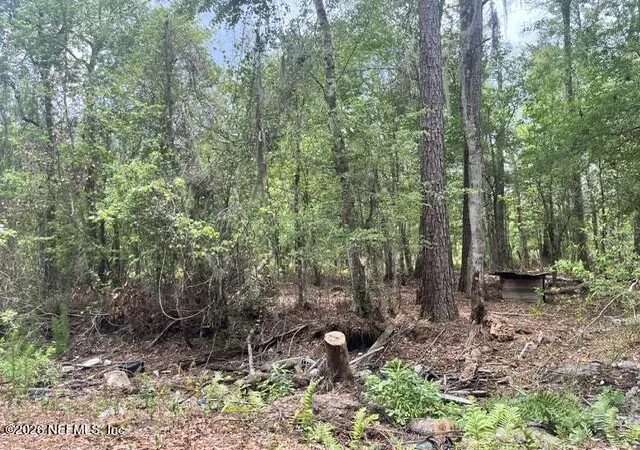 3rd image of 10891 Nw County Road 229, Starke, FL 32091 | MLS# 2144807