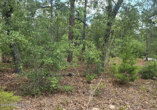 4th image of 6362 Antioch Ave, Keystone Heights, FL 32656 | MLS# 2144845