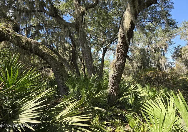 Homes for sale in East Palatka, FL | 0 County Road 207A, East Palatka, FL 32131 | MLS# 2144924
