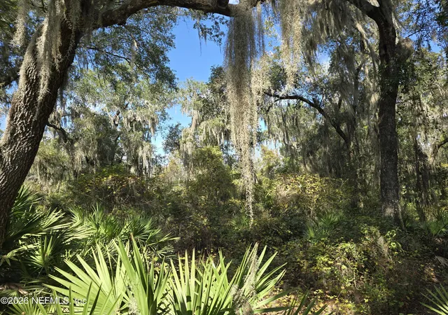 Homes for sale in East Palatka, FL | 0 County Road 207A, East Palatka, FL 32131 | MLS# 2144924