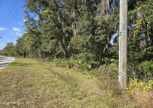 Homes for sale in East Palatka, FL | 0 County Road 207A, East Palatka, FL 32131 | MLS# 2144924