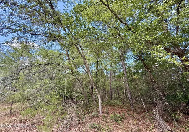 Photo 2 of Land for sale at 0140 Usina Ave, Interlachen, FL 32148 | MLS# 2146143 | Listing updated on 2026-05-20