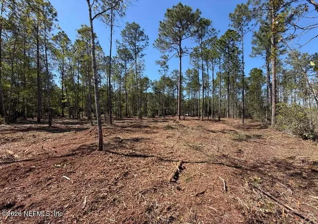 4th image of 0 Se 125Th St, Starke, FL 32091 | MLS# 2146241