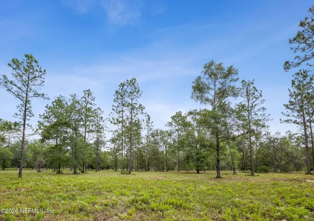Photo 4 of Land for sale at 6015 Plantation Ct, Keystone Heights, FL 32656 | MLS# 2146542 | Listing updated on 2026-05-22
