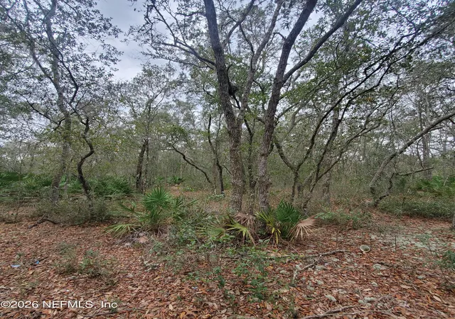 Photo 3 of Land for sale at 127 Glendale Ave, Interlachen, FL 32148 | MLS# 2146679 | Listing updated on 2026-05-22