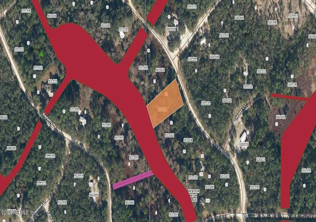 Photo 1 of Land for sale at 119 Plumosa Dr, Georgetown, FL 32139 | MLS# 2146643 | Listing updated on 2026-05-22