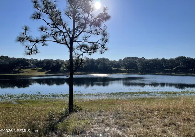 Photo 3 of Land for sale at 00 State Rd 21, Keystone Heights, FL 32656 | MLS# 2146928 | Listing updated on 2026-05-25