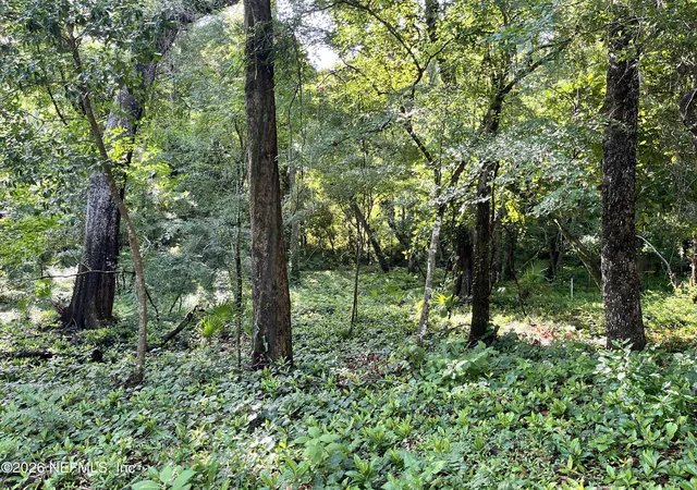 Photo 1 of Land for sale at 0 Myron Ct, Saint Johns, FL 32259 | MLS# 2147204 | Listing updated on 2026-09-09