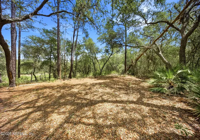 Photo 1 of Land for sale at 0 NE 115 Avenue, Fort Mc Coy, FL 32134 | MLS# 2146960 | Listing updated on 2026-09-09