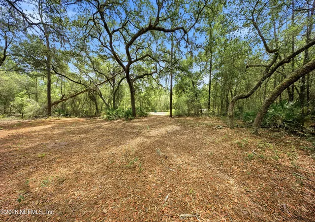 Photo 2 of Land for sale at 0 NE 115 Avenue, Fort Mc Coy, FL 32134 | MLS# 2146960 | Listing updated on 2026-09-09