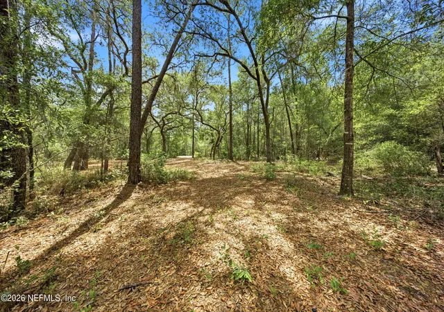 Photo 3 of Land for sale at 0 NE 115 Avenue, Fort Mc Coy, FL 32134 | MLS# 2146960 | Listing updated on 2026-09-09