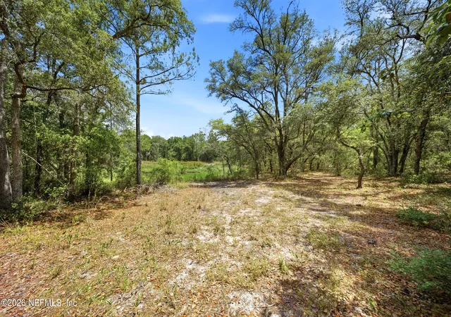 Photo 4 of Land for sale at 0 NE 115 Avenue, Fort Mc Coy, FL 32134 | MLS# 2146960 | Listing updated on 2026-09-09