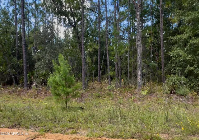 Photo 3 of Land for sale at 0 Lot 27 Neisman Ave, Interlachen, FL 32148 | MLS# 2147889 | Listing updated on 2026-10-21