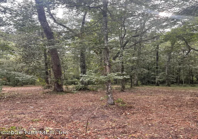 Photo 3 of Land for sale at 4825 Gopher Cir, Middleburg, FL 32068 | MLS# 2148019 | Listing updated on 2026-09-05