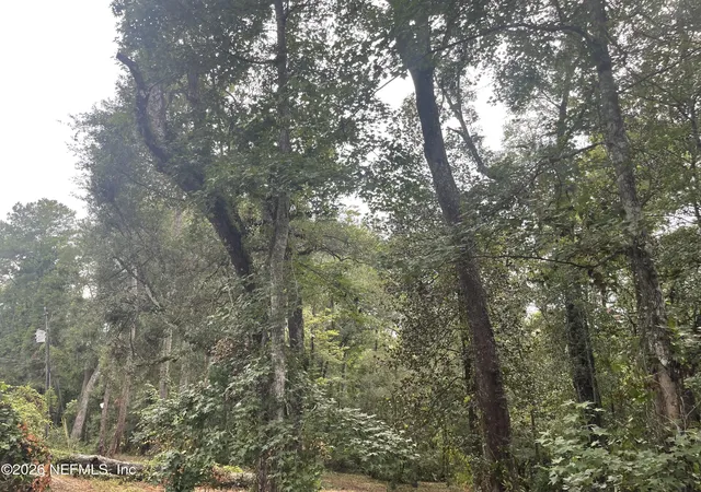Photo 2 of Land for sale at 4825 Gopher Cir, Middleburg, FL 32068 | MLS# 2148019 | Listing updated on 2026-09-05