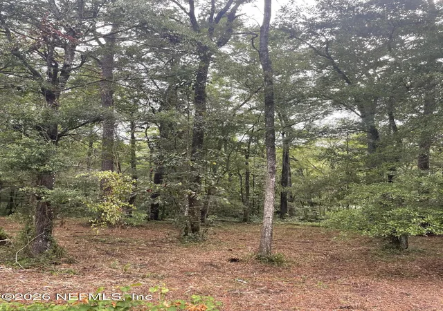 Photo 3 of Land for sale at 4819 Gopher Cir, Middleburg, FL 32068 | MLS# 2148021 | Listing updated on 2026-09-05