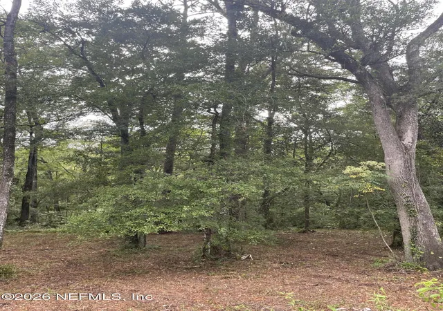 Photo 3 of Land for sale at 4819 Gopher Cir, Middleburg, FL 32068 | MLS# 2148021 | Listing updated on 2026-09-05