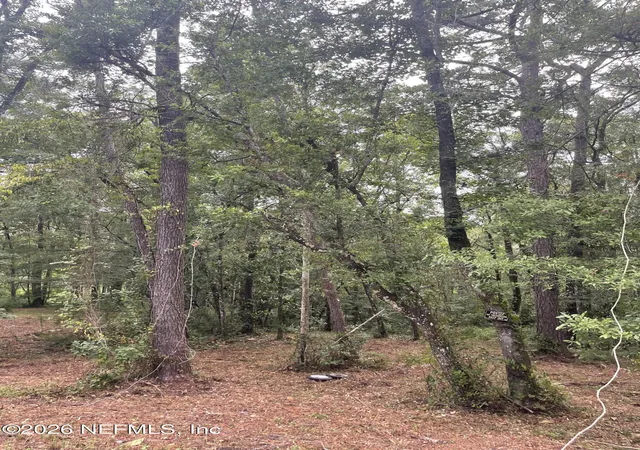Photo 4 of Land for sale at 4819 Gopher Cir, Middleburg, FL 32068 | MLS# 2148021 | Listing updated on 2026-09-05