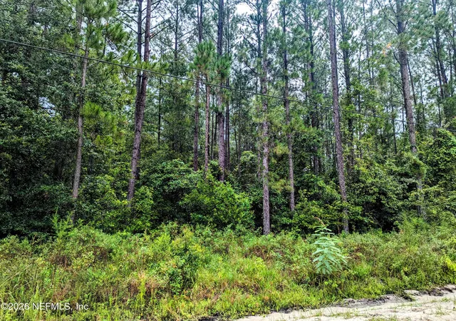 1st image of 4436 Lori Loop Rd, Keystone Heights, FL 32656 | MLS# 2147906