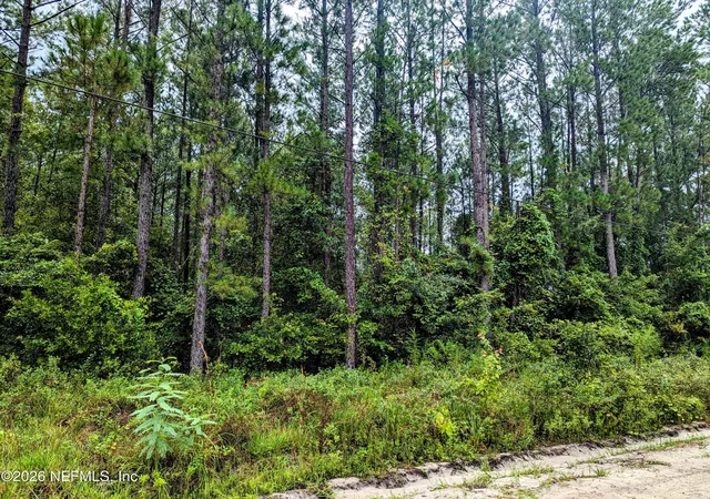 2nd image of 4436 Lori Loop Rd, Keystone Heights, FL 32656 | MLS# 2147906