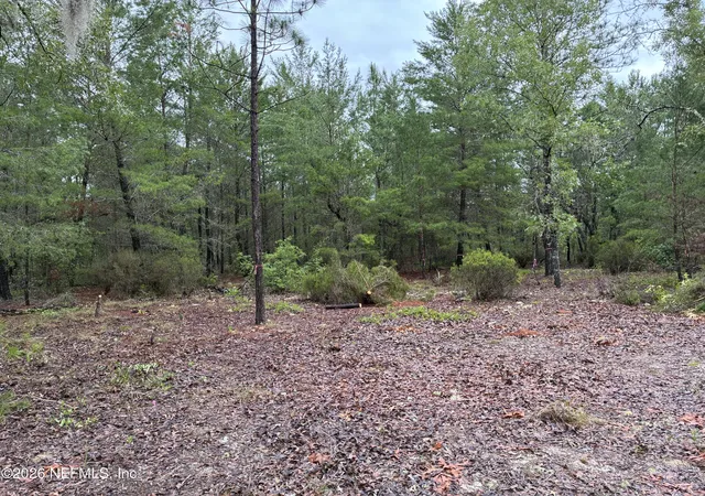 Photo 1 of Land for sale at 204 Glasgow St, Interlachen, FL 32148 | MLS# 2148148 | Listing updated on 2026-10-02