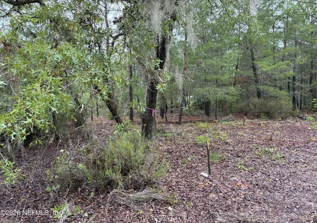 Photo 2 of Land for sale at 204 Glasgow St, Interlachen, FL 32148 | MLS# 2148148 | Listing updated on 2026-10-02