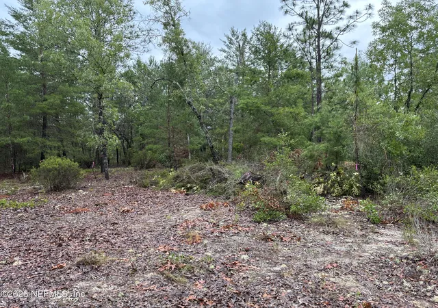 Photo 3 of Land for sale at 204 Glasgow St, Interlachen, FL 32148 | MLS# 2148148 | Listing updated on 2026-10-02