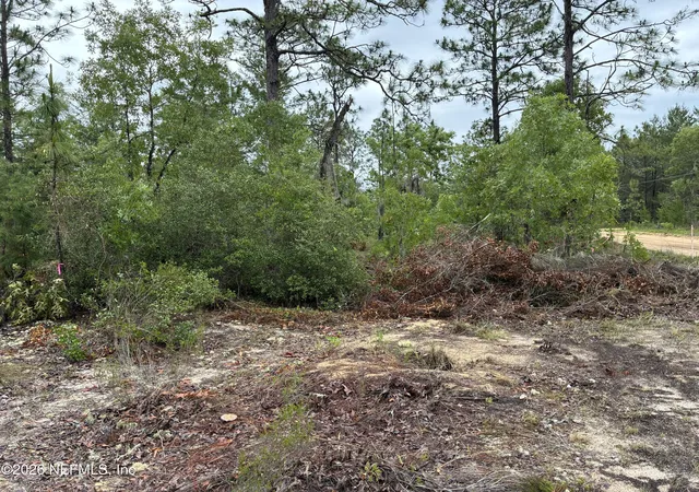 Photo 3 of Land for sale at 204 Glasgow St, Interlachen, FL 32148 | MLS# 2148148 | Listing updated on 2026-10-08