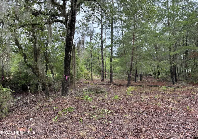 Photo 4 of Land for sale at 204 Glasgow St, Interlachen, FL 32148 | MLS# 2148148 | Listing updated on 2026-10-08