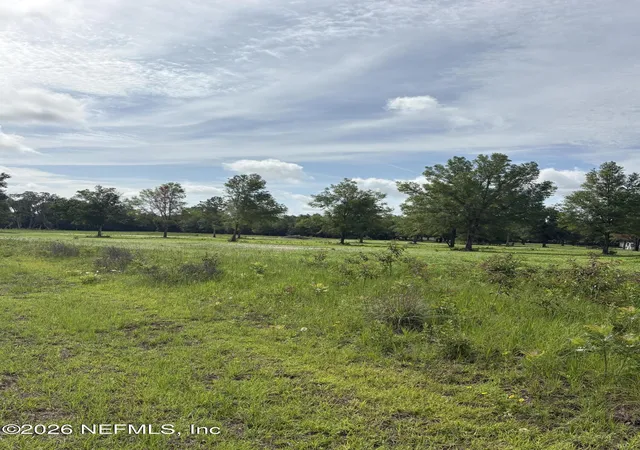 Homes for sale in Wellborn, FL | 160th 160th Path, Wellborn, FL 32094 | MLS# 2149138