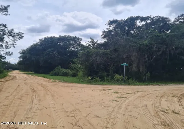 3rd image of 0 Delaware Ave, Interlachen, FL 32148 | MLS# 2148424