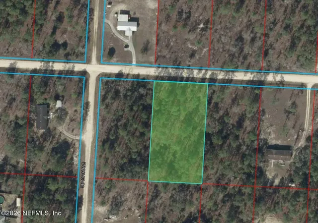 Homes for sale in Morriston, FL | 0 Se 25th St, Morriston, FL 32668 | MLS# 2148602