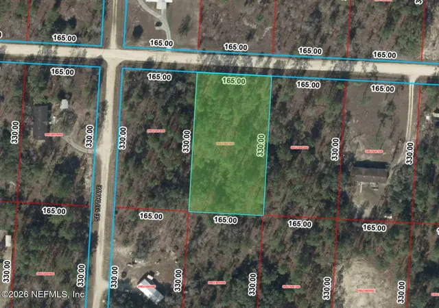 Homes for sale in Morriston, FL | 0 Se 25th St, Morriston, FL 32668 | MLS# 2148602