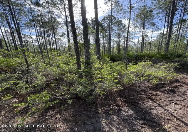 Photo 3 of Land for sale at 114 Womp Ln, Palatka, FL 32177 | MLS# 2149041 | Listing updated on 2026-09-11