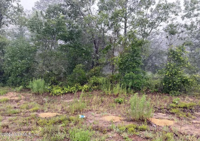 2nd image of 5628 County Road 214, Keystone Heights, FL 32656 | MLS# 2149971