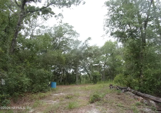 Homes for sale in Satsuma, FL | 164 Lake Circle, Satsuma, FL 32189 | MLS# 2150102